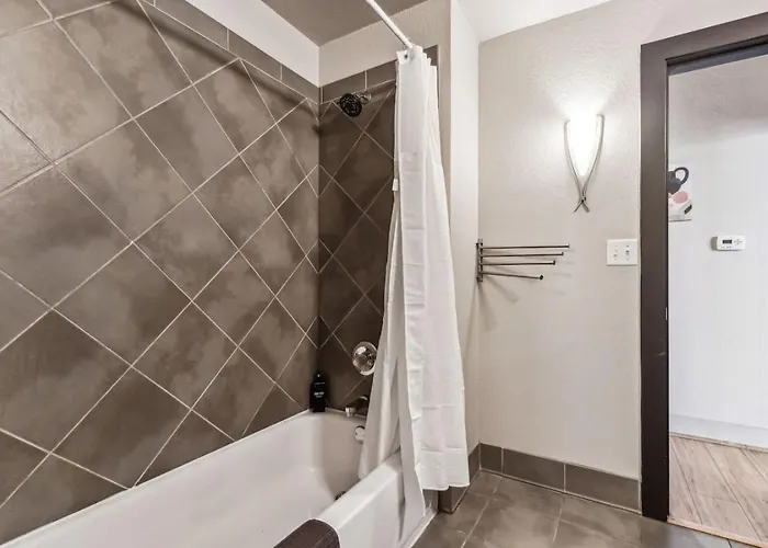 The Zircon 2bd Unique Style In The Heart Of Fortworth *